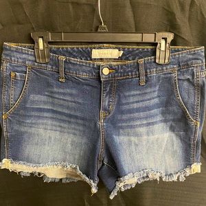 Torrid Shorts